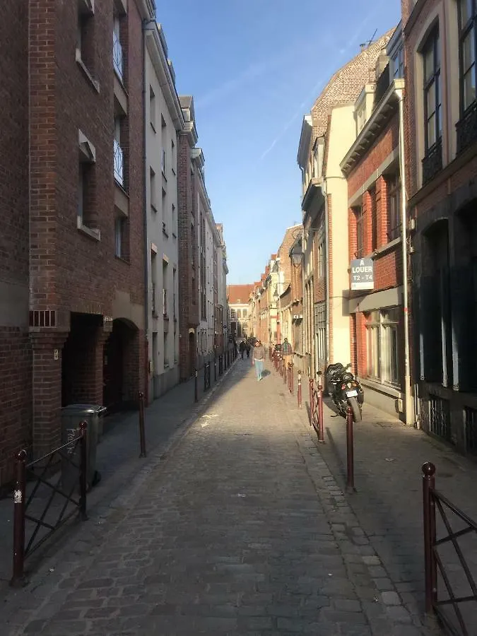 Charmant Appartement Au Coeur Du Vieux Lila Apartamento